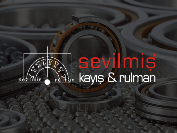 Sakarya'da Rulman Seçimi Nasıl Yapılır ?